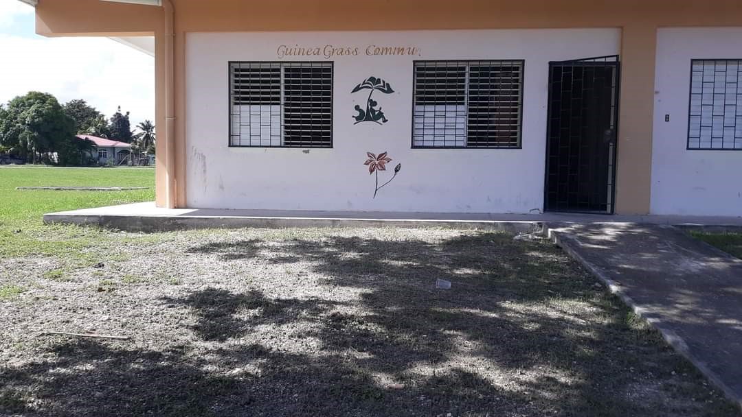 Guinea Grass Library